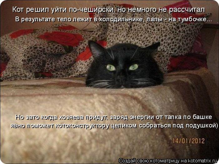 Котоматрица: Кот решил уйти по-чеширски, но немного не рассчитал  В результате тело лежит в холодильнике, лапы - на тумбочке... явно поможет котоконструкт