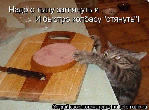 Котоматрица: Надо с тылу заглянуть и ...........  И быстро колбасу "стянуть"!