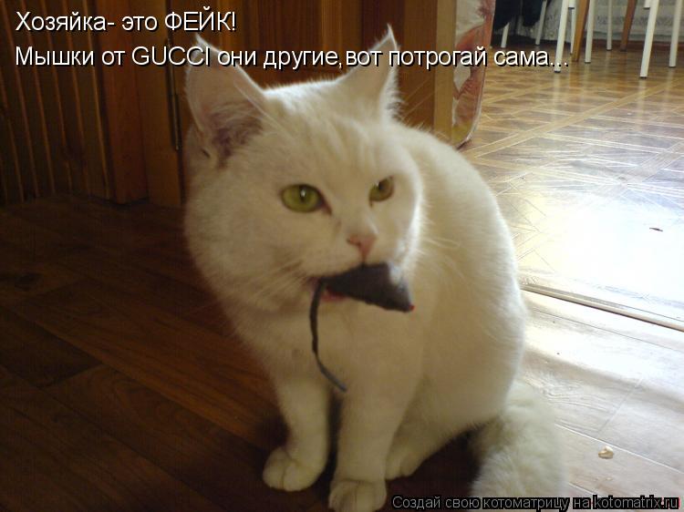 Котоматрица: Хозяйка- это ФЕЙК!  Мышки от GUCCI они другие,вот потрогай сама...