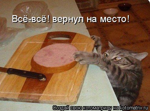 Котоматрица: Всё-всё! вернул на место!