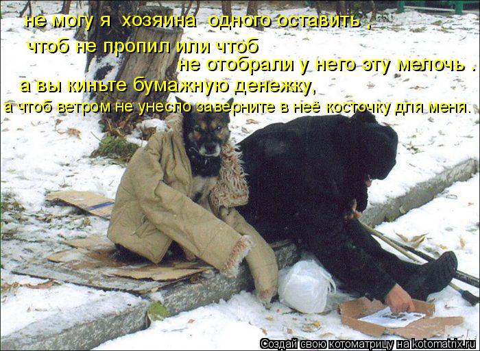 Котоматрица: не могу я  хозяина  одного оставить , чтоб не пропил или чтоб   не отобрали у него эту мелочь . а вы киньте бумажную денежку, а чтоб ветром не ун