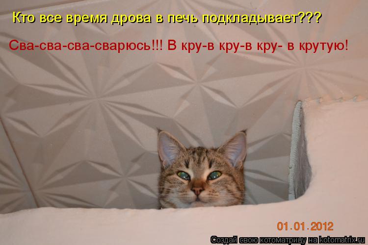 Котоматрица: Кто все время дрова в печь подкладывает??? Сва-сва-сва-сварюсь!!! В кру-в кру-в кру- в крутую!