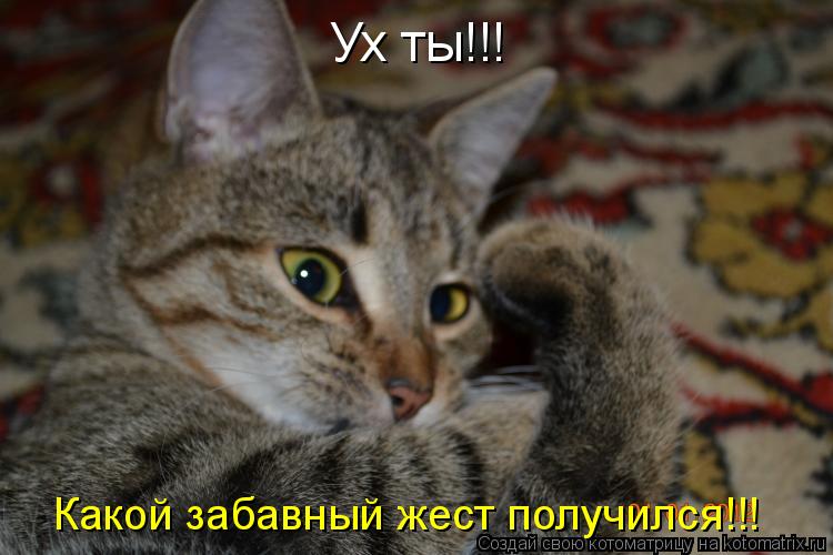 Котоматрица: Ух ты!!! Какой забавный жест получился!!!