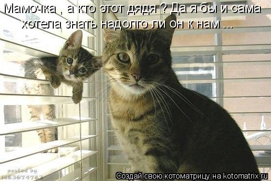 Котоматрица: Мамочка , а кто этот дядя ? Да я бы и сама хотела знать надолго ли он к нам ...