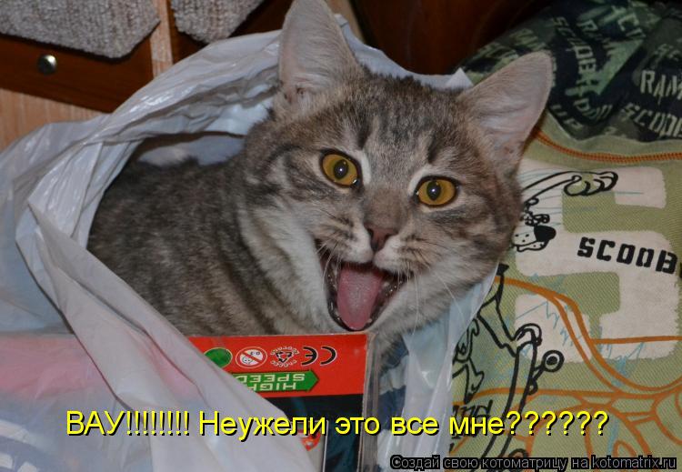 Котоматрица: ВАУ!!!!!!!! Неужели это все мне??????