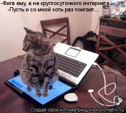 Котоматрица: -Фига ему, а не круглосуточного интернета. -Пусть и со мной хоть раз поигает...