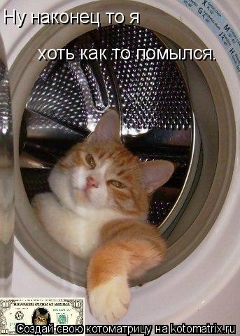 Котоматрица: Ну наконец то я  хоть как то помылся.