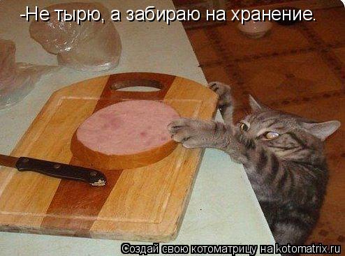 Котоматрица: -Не тырю, а забираю на хранение.