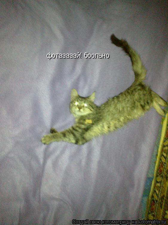 Котоматрица: фотааааай! боольно