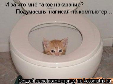 Котоматрица: Подумаешь -написал на компъютер... - И за что мне такое наказание?