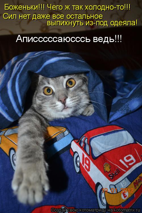 Боженьки!!! Чего ж так холодно-то!!! Сил нет даже все остальное выпихнуть из-под одеяла! Аписссссаюсс... Котоматрица: Боженьки!!! Чего ж так холодно-то!!! Сил нет даже все остальное выпихнуть из-под одеяла! Аписссссаюсссь ведь!!!