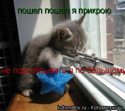 Котоматрица: пошел пошел я прикрою не подглядывать я по большому не подглядывать я по большому