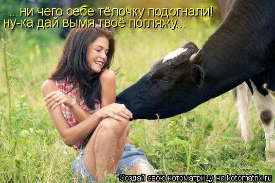 Котоматрица: ...ни чего себе тёлочку подогнали! ну-ка дай вымя твоё погляжу...