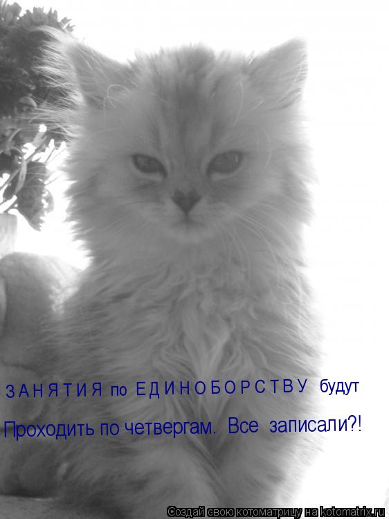 Котоматрица: З А Н Я Т И Я  по  Е Д И Н О Б О Р С Т В У   будут               Проходить по четвергам.  Все  записали?!