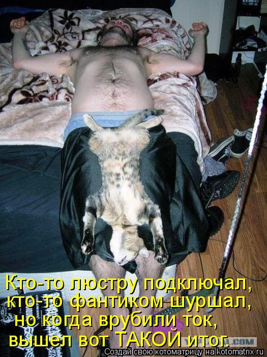 Кто-то люстру подключал, кто-то фантиком шуршал, но когда врубили ток, вышел вот ТАКОЙ итог.... Котоматрица: Кто-то люстру подключал, кто-то фантиком шуршал, но когда врубили ток, вышел вот ТАКОЙ итог.