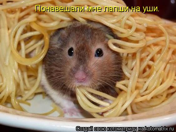 Котоматрица: Понавешали мне лапши на уши.
