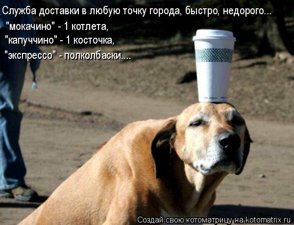 Котоматрица: Служба доставки в любую точку города, быстро, недорого... "мокачино" - 1 котлета, "капуччино" - 1 косточка, "экспрессо" - полколбаски....