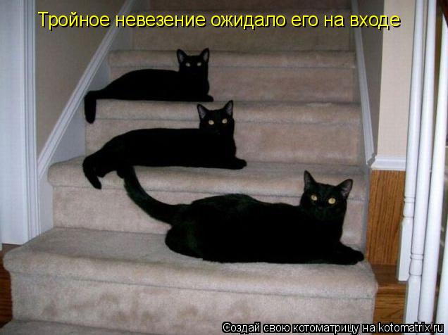 Котоматрица: Тройное невезение ожидало его на входе
