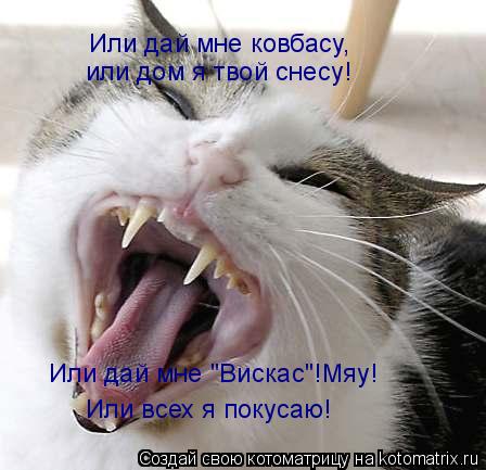 Котоматрица: Или дай мне ковбасу, или дом я твой снесу! Или дай мне "Вискас"!Мяу! Или всех я покусаю!