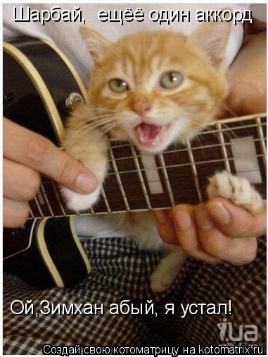 Котоматрица: Шарбай,  ещёё один аккорд Ой,Зимхан абый, я устал!