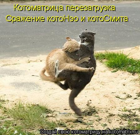 Котоматрица: Котоматрица перезагрузка Сражение котоНэо и котоСмита