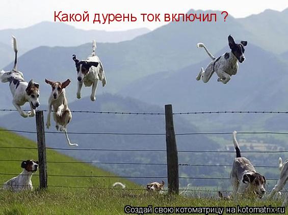 Котоматрица: Какой дурень ток включил ?