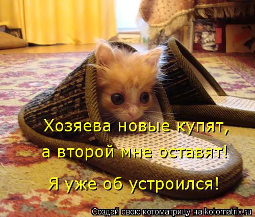 Котоматрица: Хозяева новые купят, а второй мне оставят! Я уже об устроился!