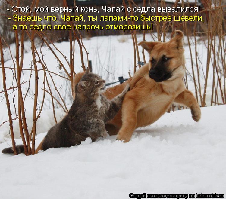 Котоматрица: - Стой, мой верный конь, Чапай с седла вывалился!  - Знаешь что, Чапай, ты лапами-то быстрее шевели, а то седло свое напрочь отморозишь!