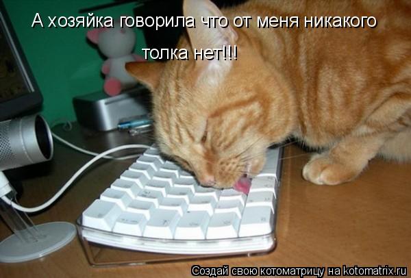 Котоматрица: А хозяйка говорила что от меня никакого  толка нет!!!