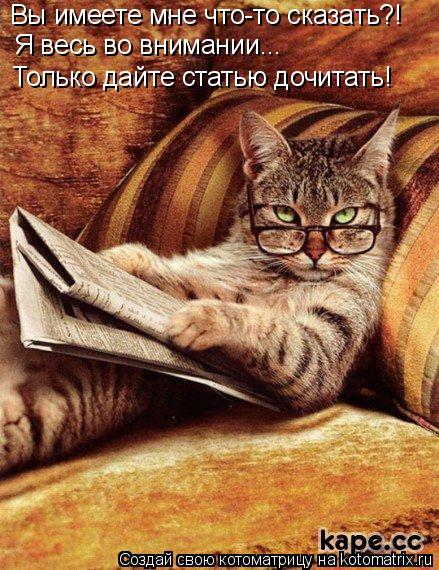 Котоматрица: Вы имеете мне что-то сказать?! Я весь во внимании...  Только дайте статью дочитать!