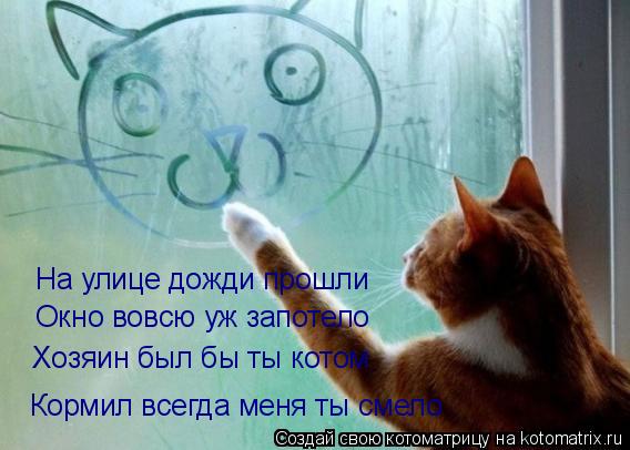 Котоматрица: На улице дожди прошли Окно вовсю уж запотело Хозяин был бы ты котом Кормил всегда меня ты смело