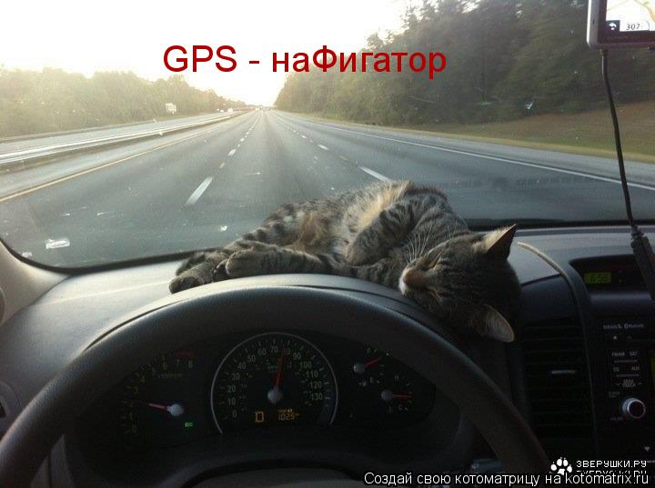 Котоматрица: GPS - наФигатор