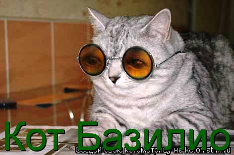 Котоматрица: Кот Базилио