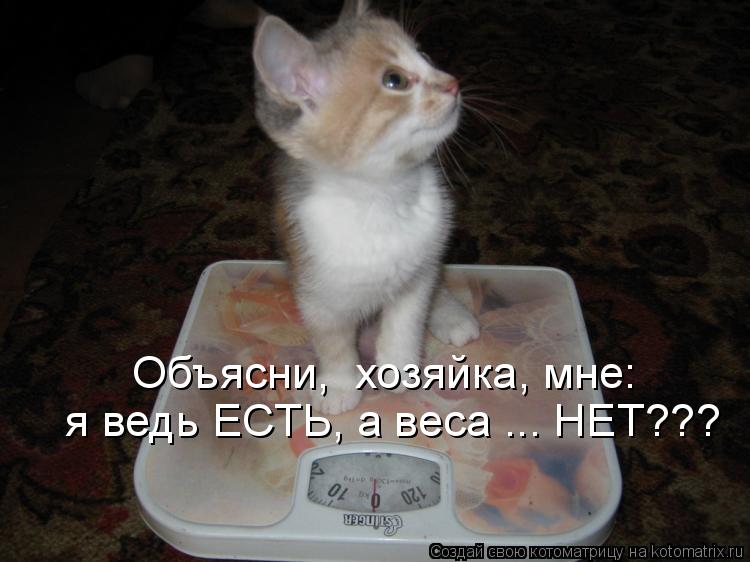 Котоматрица: Объясни,  хозяйка, мне: я ведь ЕСТЬ, а веса ... НЕТ???