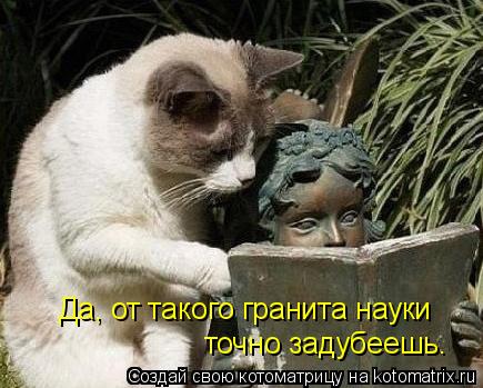 Котоматрица: Да, от такого гранита науки  точно задубеешь.