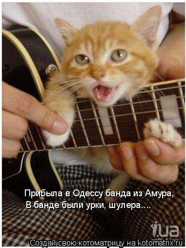 Котоматрица: Прибыла в Одессу банда из Амура, В банде были урки, шулера....