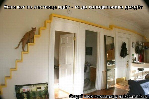 Котоматрица: Если кот по лестнице идёт - то до холодильника дойдёт
