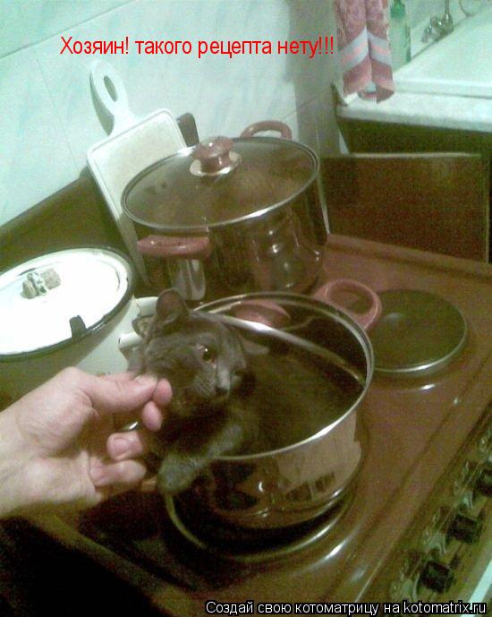 Котоматрица: Хозяин! такого рецепта нету!!!