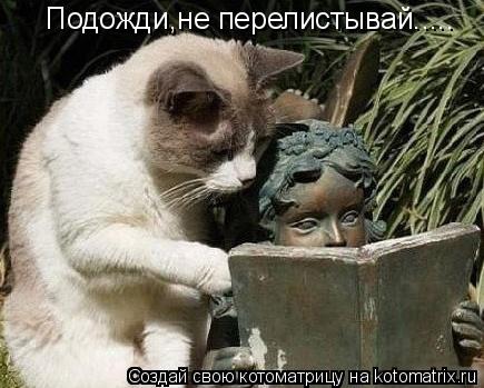 Котоматрица: Подожди,не перелистывай.....