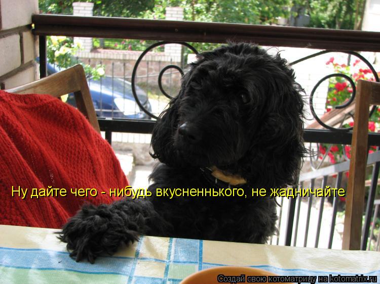 Котоматрица: Ну дайте чего - нибудь вкусненнького, не жадничайте