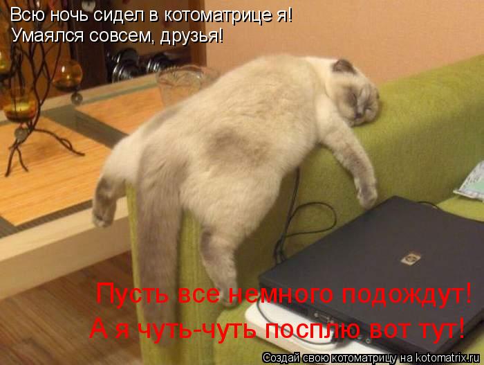 Котоматрица: Всю ночь сидел в котоматрице я! Умаялся совсем, друзья! Пусть все немного подождут! А я чуть-чуть посплю вот тут!