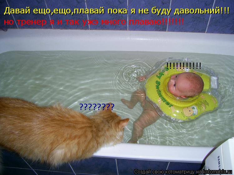 Котоматрица: Давай ещо,ещо,плавай  Давай ещо,ещо,плавай пока я не буду давольний!!! но тренер я и так ужэ много плаваю!!!!!!! !!!!!!!!!!! ????????