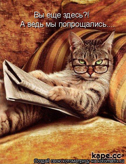 Котоматрица: Вы еще здесь?!  А ведь мы попрощались....