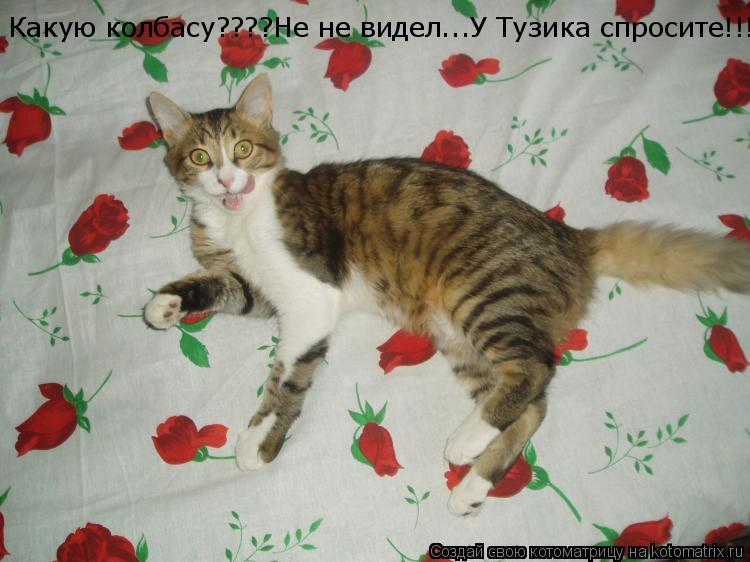 Котоматрица: Какую колбасу????Не не видел...У Тузика спросите!!!