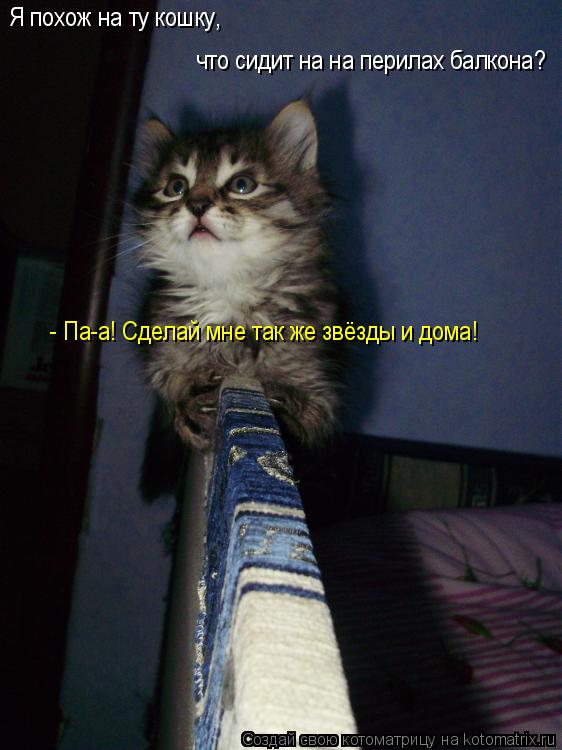 Котоматрица: Я похож на ту кошку,  что сидит на на перилах балкона? - Па-а! Сделай мне так же звёзды и дома!