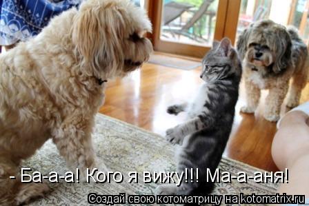 Котоматрица: - Ба-а-а! Кого я вижу!!! Ма-а-аня!