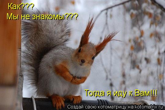 Котоматрица: Как??? Мы не знакомы??? Тогда я иду к Вам!!!