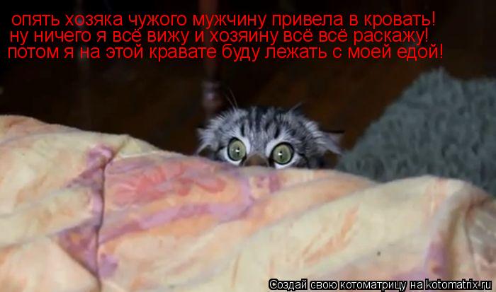 Котоматрица: опять хозяка чужого мужчину привела в кровать! ну ничего я всё вижу и хозяину всё всё раскажу! потом я на этой кравате буду лежать с моей едо