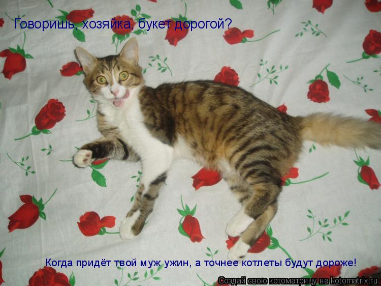 Котоматрица: Говоришь, хозяйка, букет дорогой? Когда придёт твой муж ужин, а точнее котлеты будут дороже!