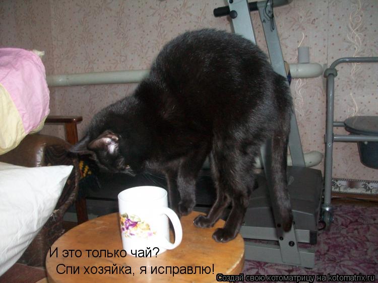 Котоматрица: И это только чай? Спи хозяйка, я исправлю!